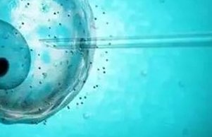 乳腺增生结节3类可以怀孕吗？乳腺增生结节可以做试管婴儿吗？乳腺增生性结节怎么治好？