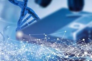 试管婴儿治疗前，如何评估自己的身体状况？皇家生殖的检测项目