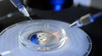 广安市试管婴儿流程是怎样的（广安市试管婴儿医院哪家好）